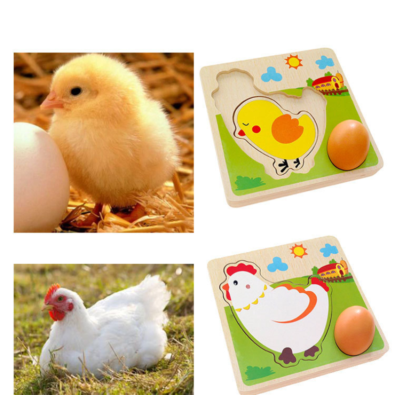 Wood 3D Puzzle Chick Grow Hens - Woodworking Jigsaw avaliação e preço